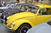 fot.Dorota Białkowska