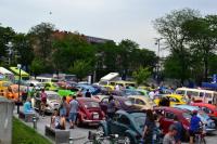 fot.Dorota Białkowska