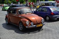 fot.Dorota Białkowska