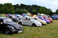 fot.Dorota Białkowska