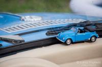 fot.Łukasz Krajewski