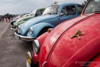 fot.Łukasz Krajewski