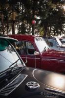 fot.Łukasz Krajewski