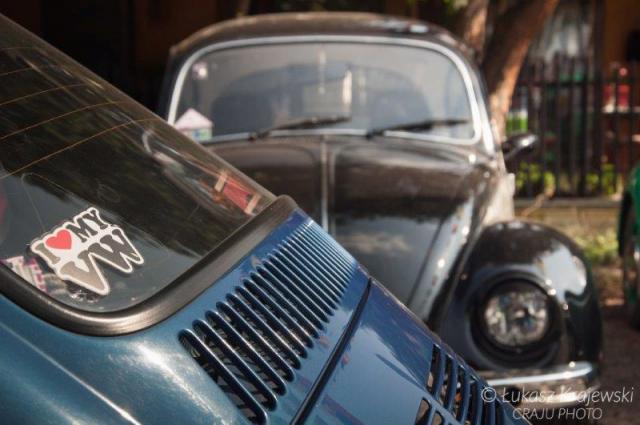 fot.Łukasz Krajewski