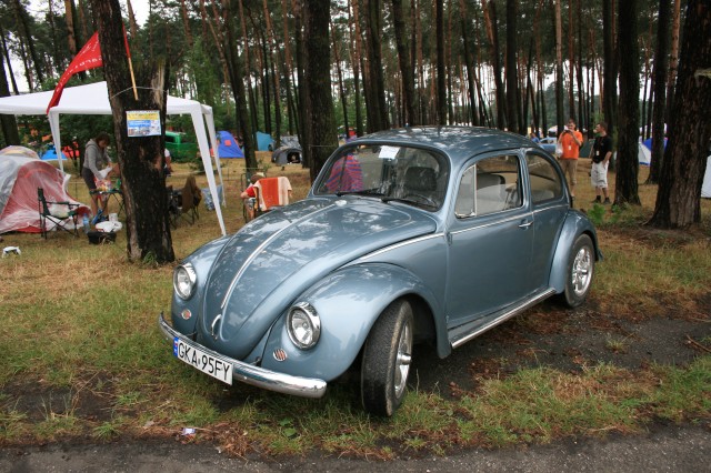 fot.Jurek