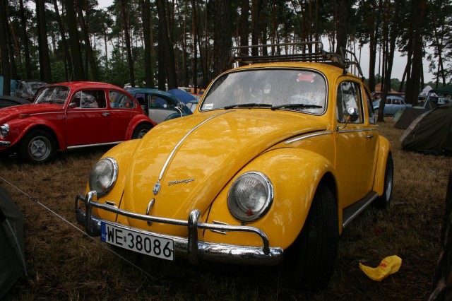 fot.Jurek