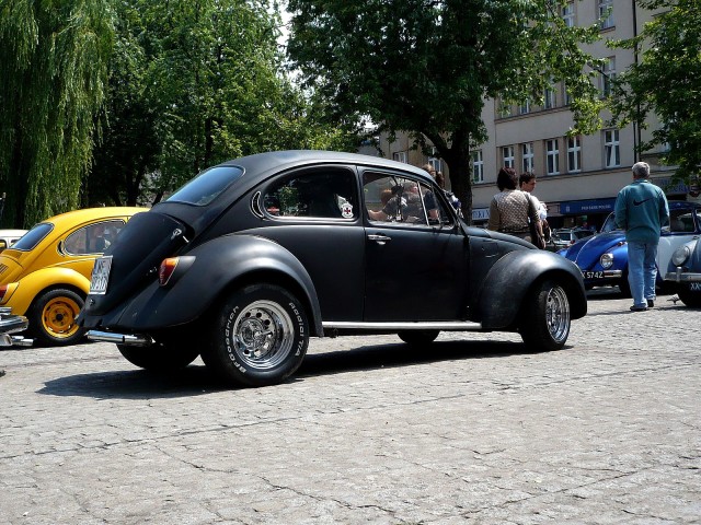 fot.Justyna Lasek