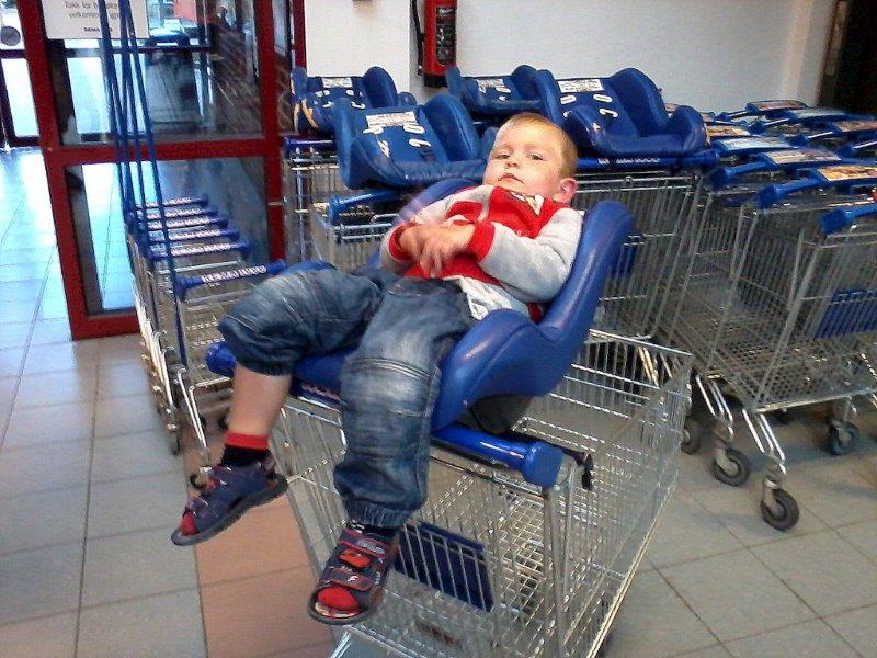 fot.Artek