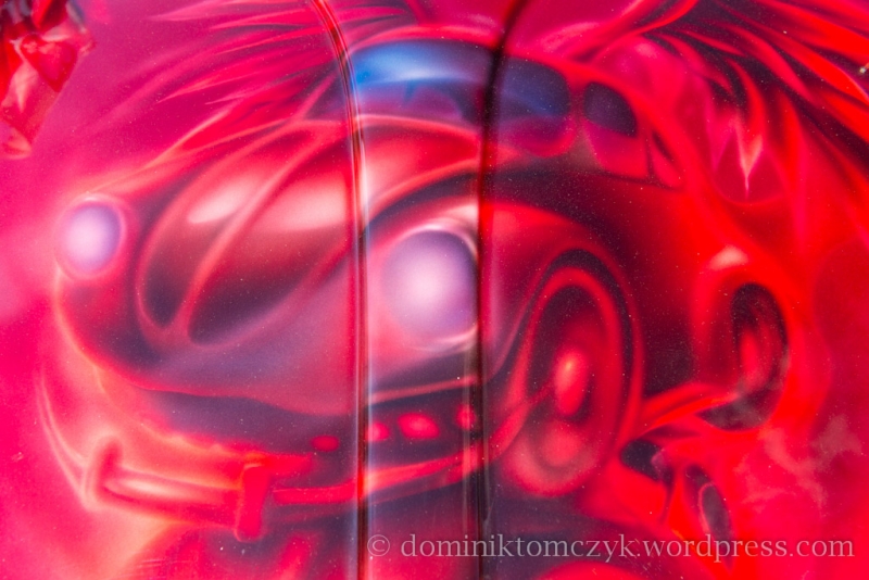 fot.Dominik Tomczyk