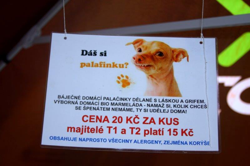 fot.Artek 178