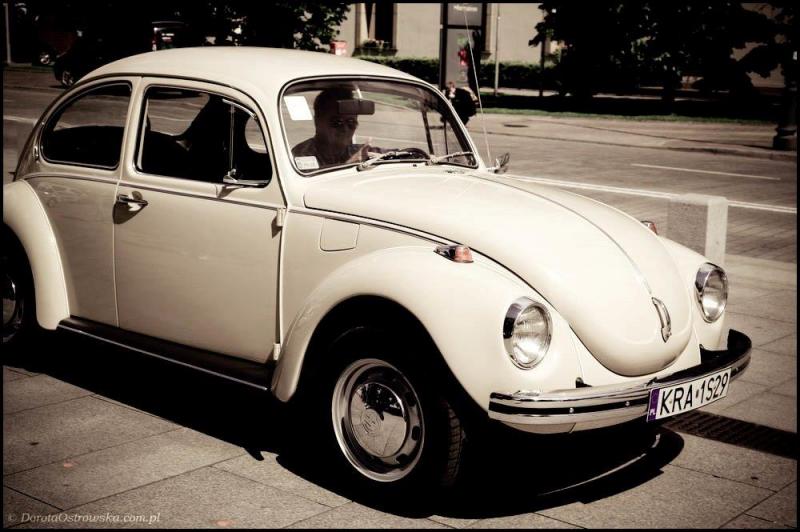 fot.Dorota Ostravsky