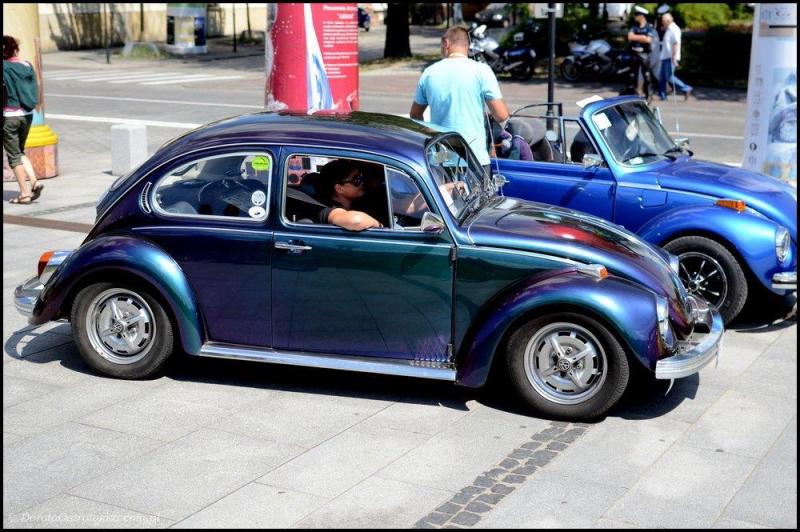 fot.Dorota Ostravsky