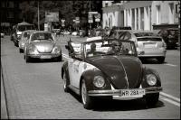 fot.Dorota Ostravsky