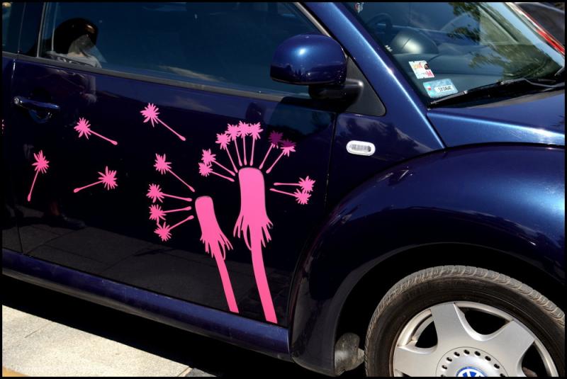 fot.Dorota Ostravsky