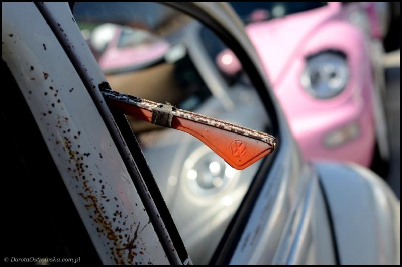 fot.Dorota Ostravsky