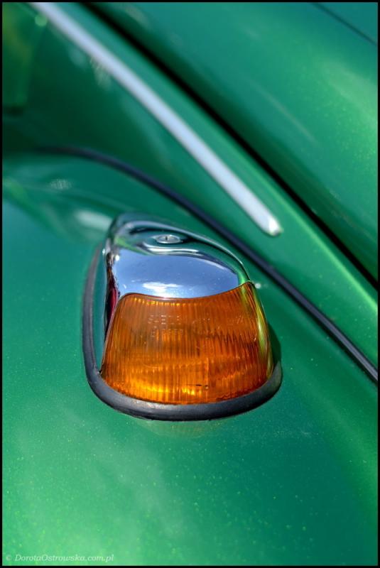 fot.Dorota Ostravsky