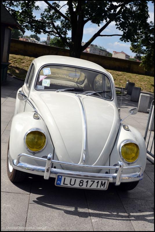 fot.Dorota Ostravsky