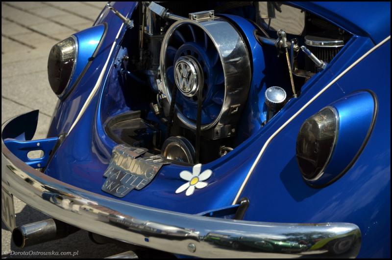 fot.Dorota Ostravsky