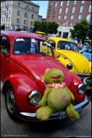 fot.Dorota Ostravsky