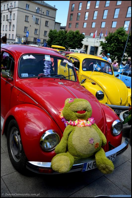 fot.Dorota Ostravsky