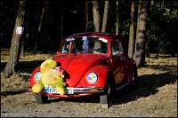 fot.Dorota Ostravsky