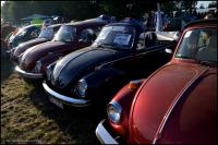 fot.Dorota Ostravsky