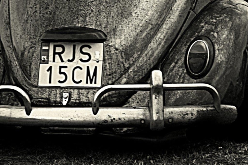 fot.Artek
