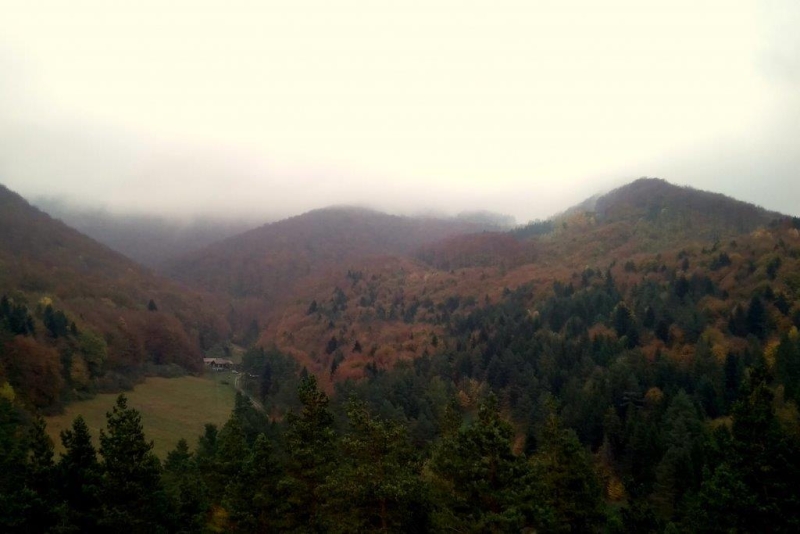 fot.Przygoda