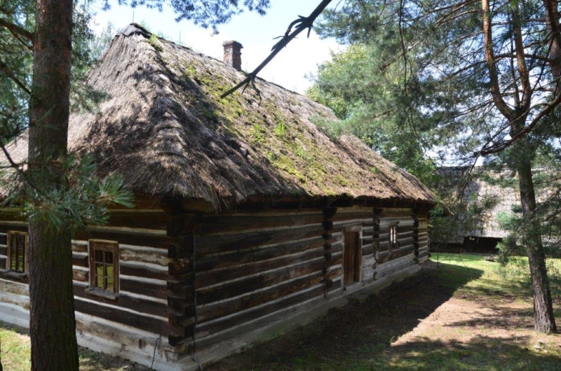 fot.Dorota Ostovsky