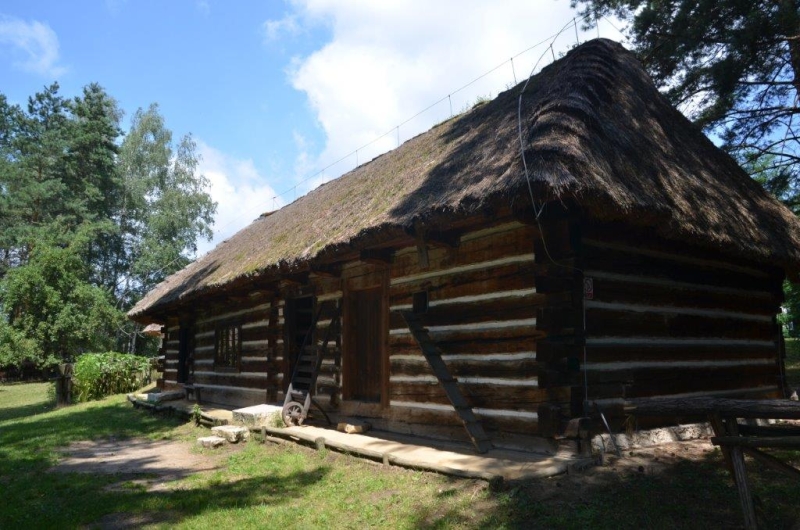 fot.Dorota Ostovsky