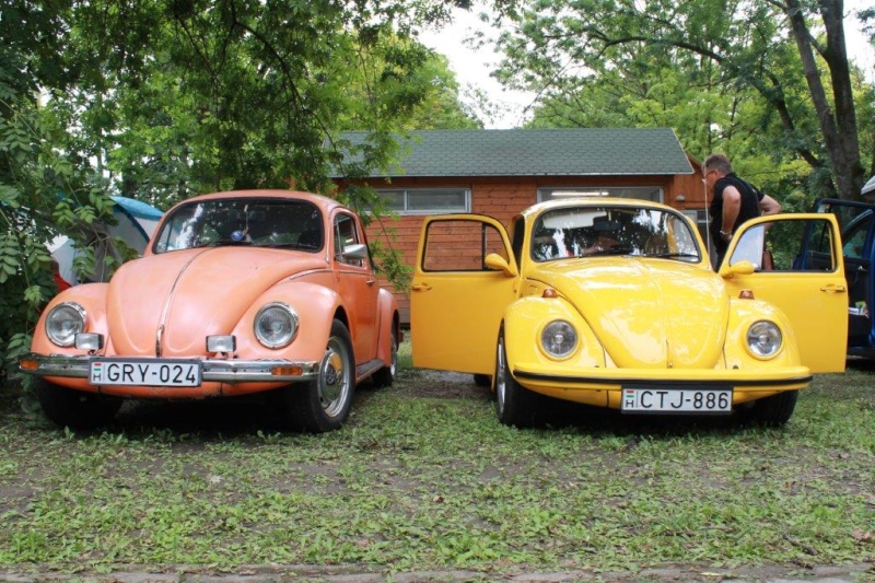 fot.Julka