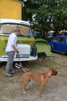 fot.Dorota Ostrovsky