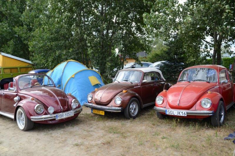 fot.Dorota Ostrovsky