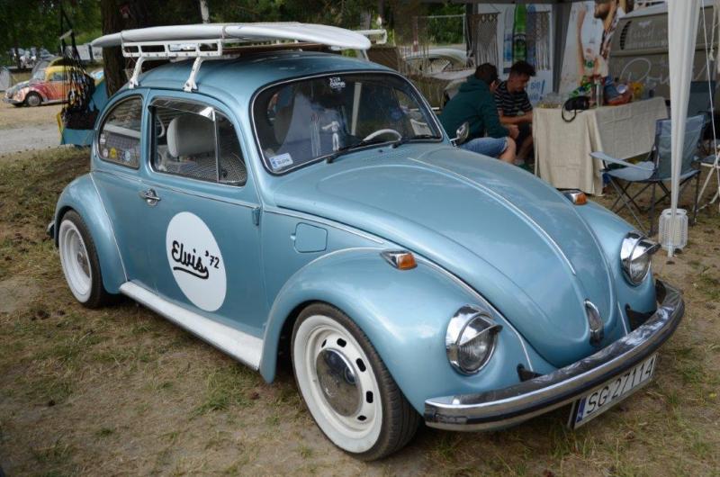 fot.Dorota Ostrovsky