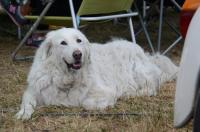 fot.Dorota Ostrovsky