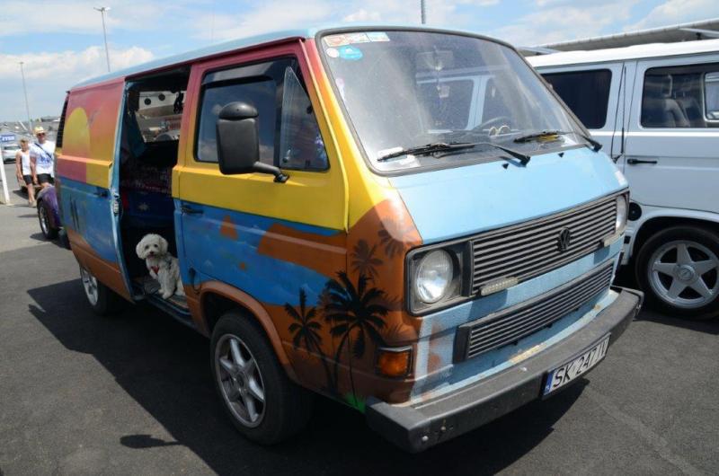 fot.Dorota Ostrovsky