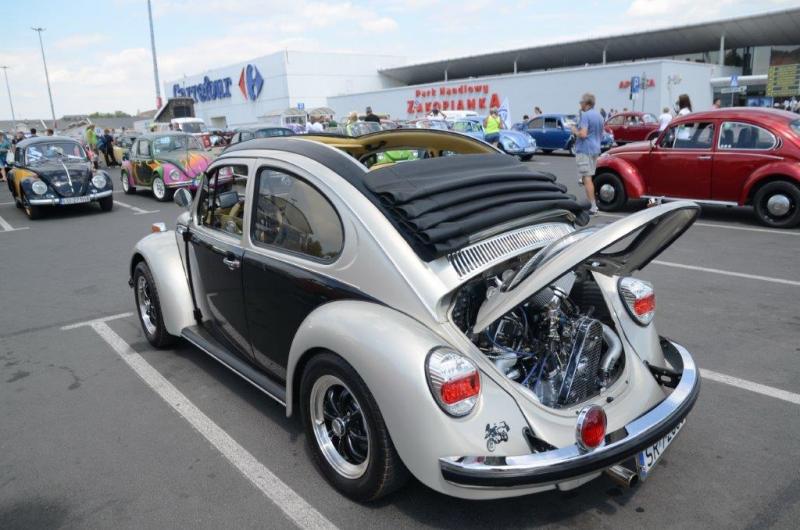 fot.Dorota Ostrovsky