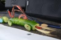 fot.Dorota Ostrovsky