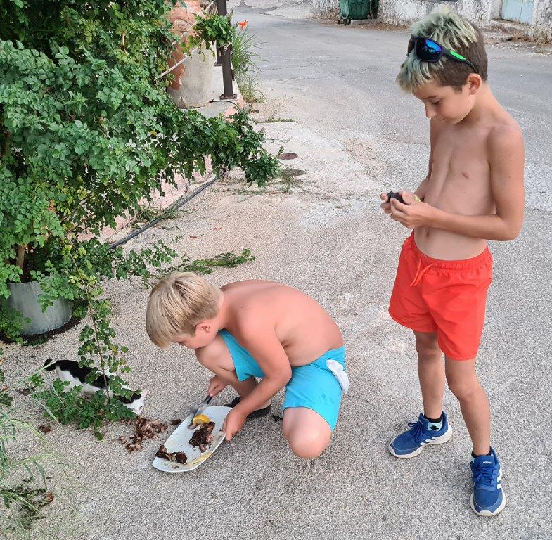fot.Artek