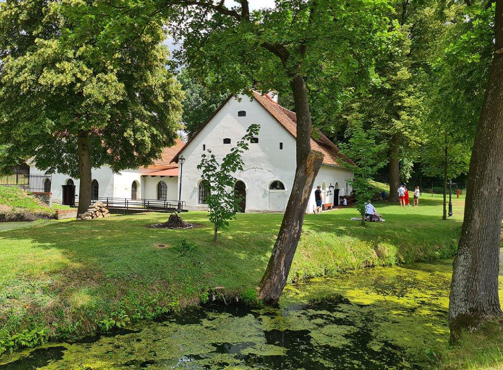 fot.Artek