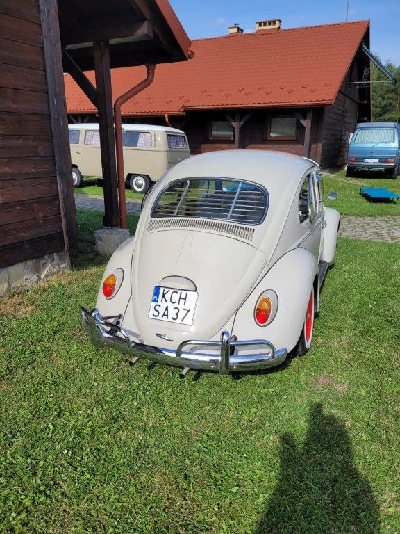 fot.Kostek LV