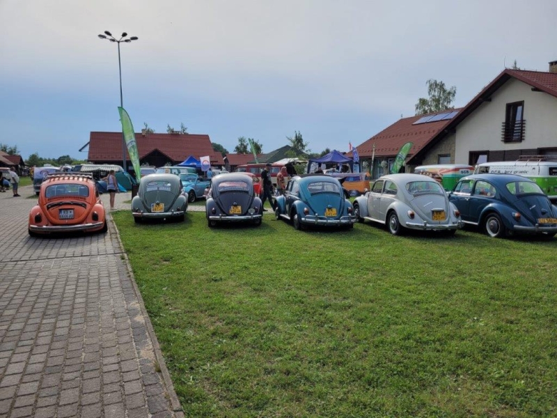 fot.Kostek LV