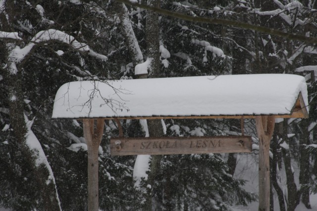 fot.Artek (canon) 066.jpg