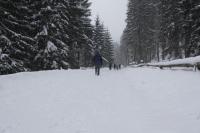 fot.Artek (canon) 069.jpg