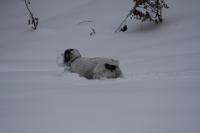 fot.Artek (canon) 078.jpg