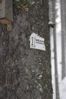 fot.Artek (canon) 081.jpg