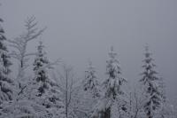 fot.Artek (canon) 084.jpg