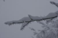 fot.Artek (canon) 088.jpg