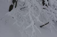 fot.Artek (canon) 090.jpg