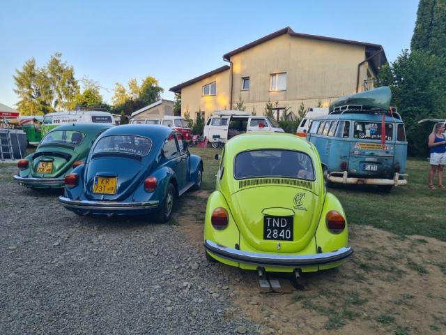 fot.Artek